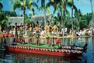 Waikiki Pearl Harbor, Dole Plantation, Polynesian Center Tour