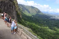 Oahu Scenic Tour to North Shore Half-Day thumbnail 6