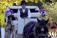 NYC Central Park Horse and Carriage Ride thumbnail 2