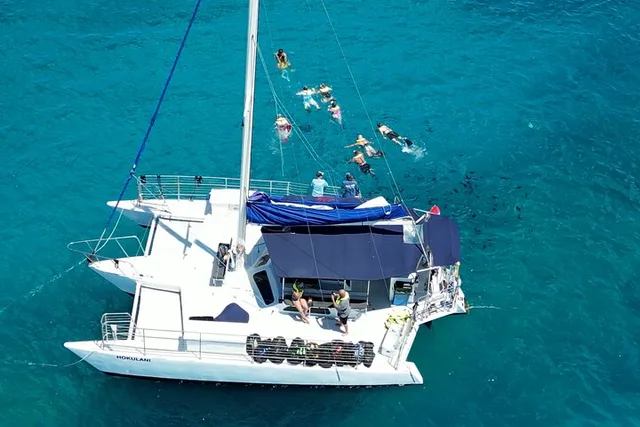 Waikiki Snorkel Tour at Turtle Canyon 2 hr - Image 1