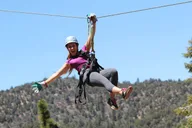 Big Bear Zipline Tour with Suspension Bridge thumbnail 1