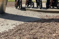 Dallas E-Bike Tour thumbnail 5