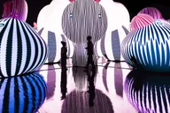 Chicago Balloon Museum Entry Tickets thumbnail 4