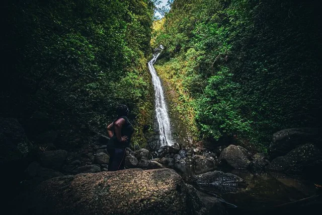 Honolulu Waterfall Hike in Rainforest - Image 6