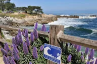 San Francisco Monterey and Carmel Day Trip thumbnail 2