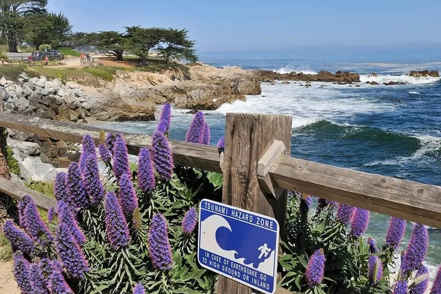 San Francisco Monterey and Carmel Day Trip - Image 2