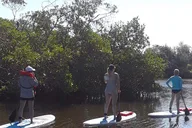 Naples Paddleboard Mangrove Forest Tour 90 min thumbnail 6