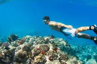 Maui Turtle Town Kayak and Snorkel Tour thumbnail 3