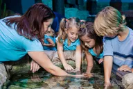 Grapevine Aquarium Admission thumbnail 4