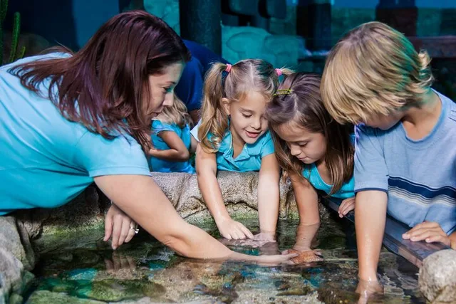 Grapevine Aquarium Admission - Image 4