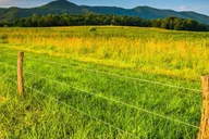 Pigeon Forge Cade's Cove History Driving Tour thumbnail 4
