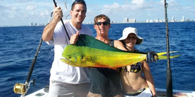 Fort Lauderdale Sportfishing Charter 4 hr - Image 6