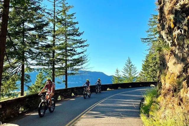 Portland Ebiking Tour to Columbia River Gorge Waterfalls - Image 4