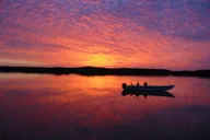 Everglades City Boating and Walking Expedition thumbnail 4