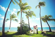 Honolulu Beach Wedding and Photo Session thumbnail 6