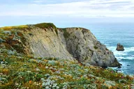 Bodega Head Self-Guided Audio Tour thumbnail 3