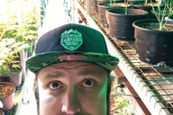 Denver Cannabis Tour thumbnail 1