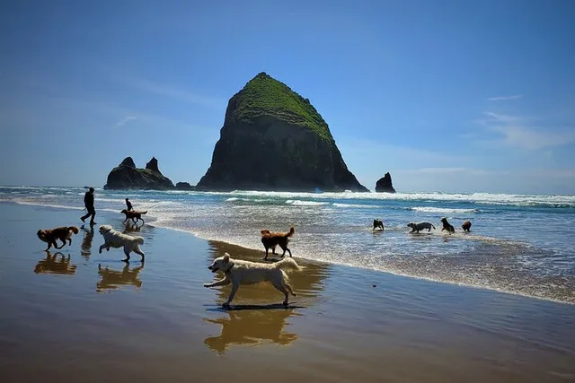 Portland Oregon Coast Tour - Image 5