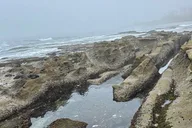 San Diego Tide Pool Tour thumbnail 4