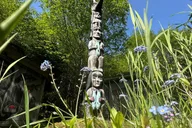 Ketchikan Rainforest Walk and Totem Park Tour thumbnail 6