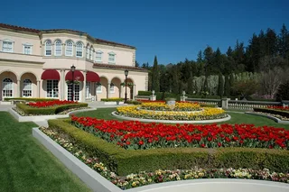 San Francisco Sonoma & Napa Private Wine Tour 8 hr