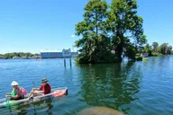 Crystal River Clear Kayak Sunset and Glow Tour thumbnail 6
