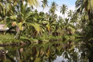 Kauai Movie Tour with Island Hopping from Oahu thumbnail 4