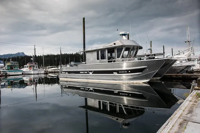Hoonah Whale Watching Tour in Icy Strait - Image 3