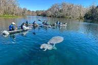 Silver Springs Self-Guided Clear Kayak Adventure thumbnail 2
