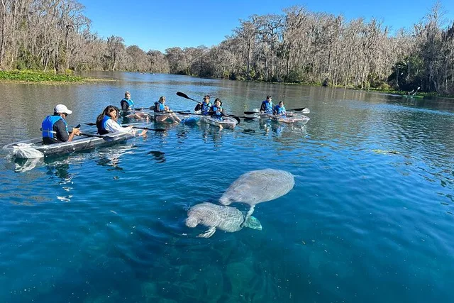 Silver Springs Self-Guided Clear Kayak Adventure - Image 2