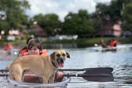 Orlando Paddle with Your Pup Adventure thumbnail 5