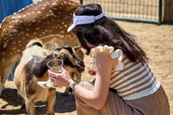 Fredericksburg Safari Tour thumbnail 1