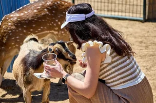 Fredericksburg Safari Tour