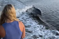 Marco Island Boat Tour through Ten Thousand Islands thumbnail 3