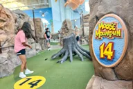Bloomington Moose Mountain Adventure Golf thumbnail 3
