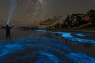 Florida Bioluminescent Kayak and Paddle Board Adventure thumbnail 1