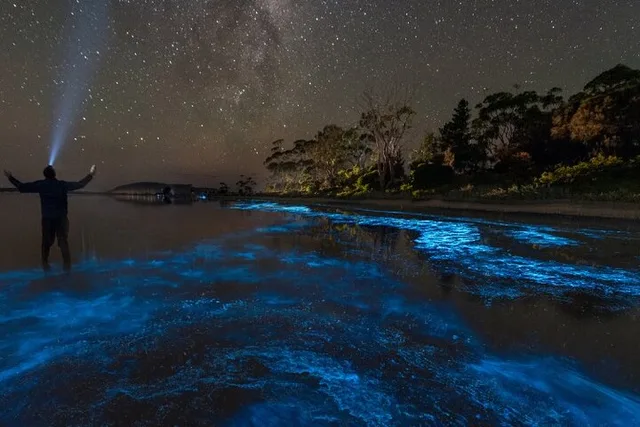 Florida Bioluminescent Kayak and Paddle Board Adventure - Image 1