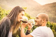 San Francisco Private Wine Tour in Napa and Sonoma 8 hr thumbnail 2