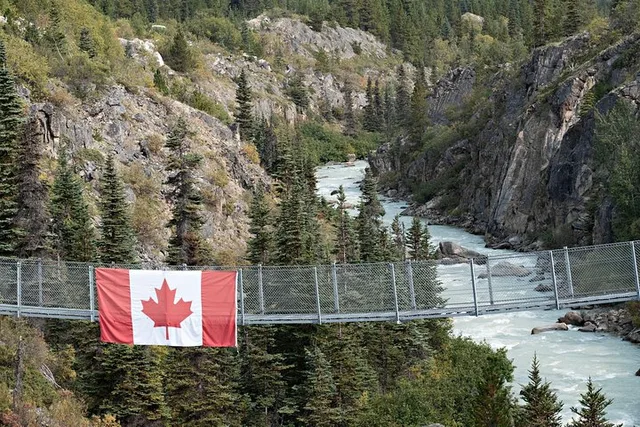 Skagway Yukon Suspension Bridge Tour - Image 3