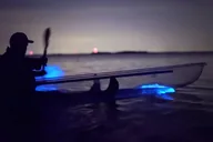 Cocoa Beach Clear Kayak Bioluminescence Tour 90 min thumbnail 1