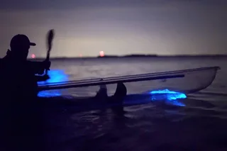 Cocoa Beach Clear Kayak Bioluminescence Tour 90 min