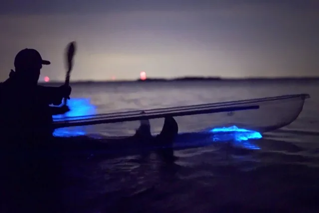 Cocoa Beach Clear Kayak Bioluminescence Tour 90 min - Image 1