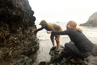 Olympic National Park Private Tour and Hike thumbnail 3