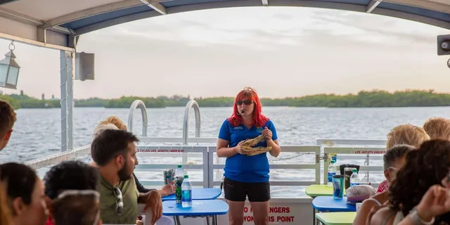 Tampa Bay Eco Cruise with Wildlife Viewing 2 hr - Image 5