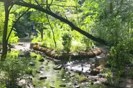 New York City Central Park Walking Tour thumbnail 5