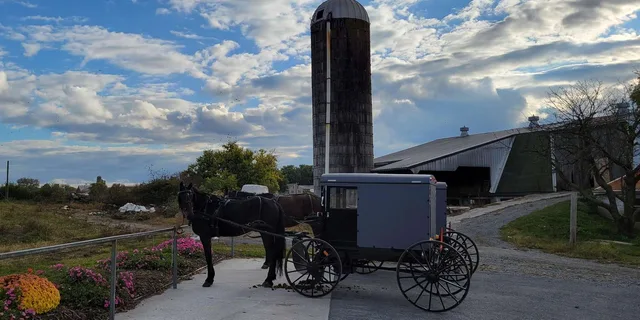 Lancaster Downtown & Amish Country Tour - Image 1