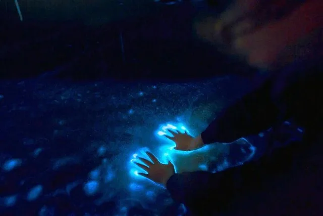 Cocoa Beach Bioluminescence Tour at Sunset - Image 1