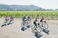 Napa Valley E-Bike Tour thumbnail 4