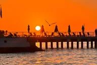Miami to Key West Full-Day Tour thumbnail 5
