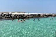 Panama City Beach Dolphin & Snorkeling Tour thumbnail 3